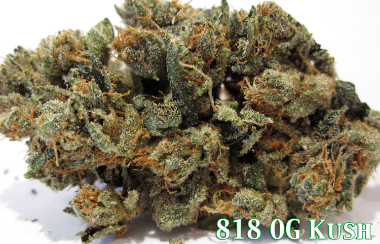  Here is some 818 OG kush. 818 is the Area Code of the San Fernando Valley if 