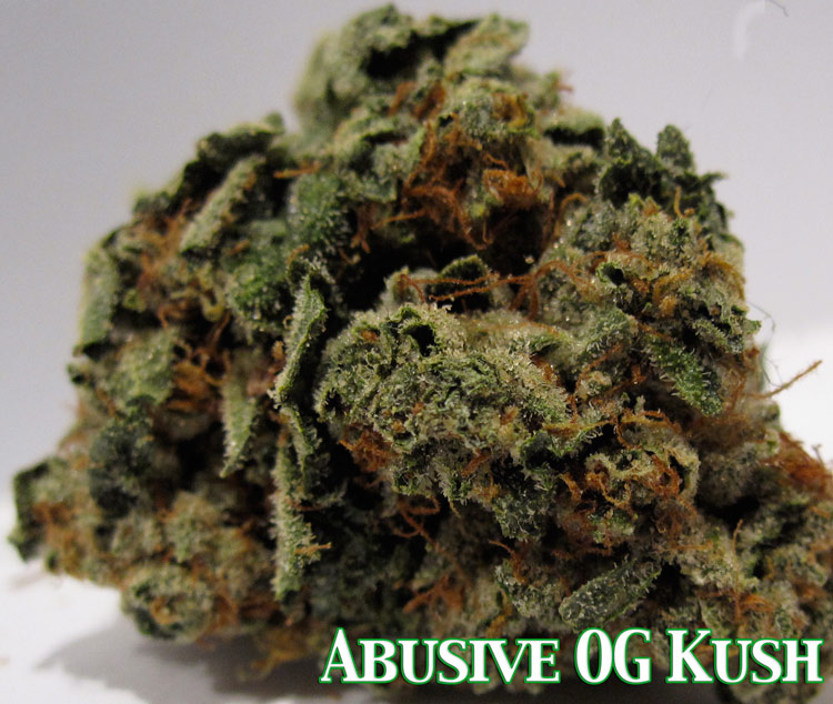 Abusive OG Kush