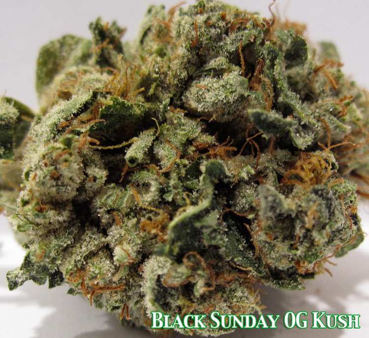 Black Sunday OG Kush