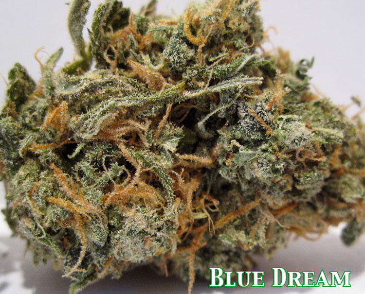 Blue Dream