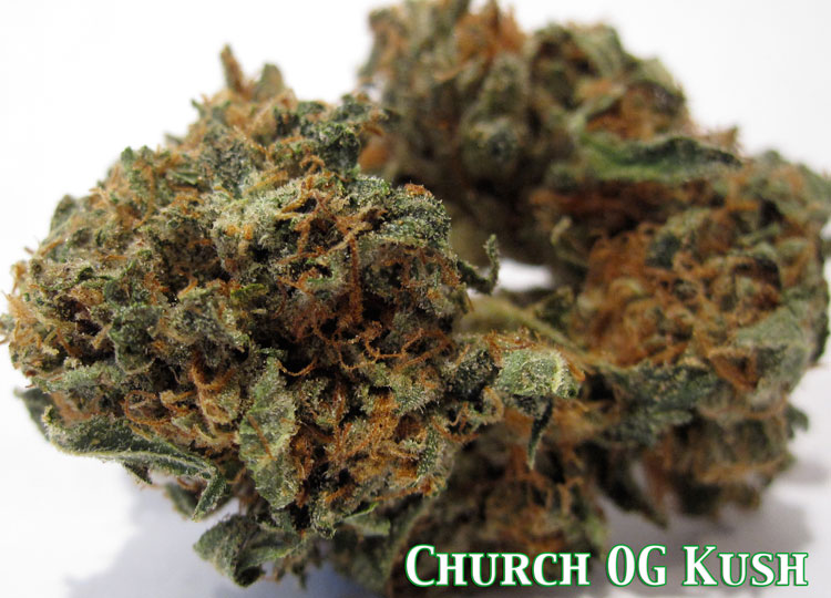 Church OG Kush