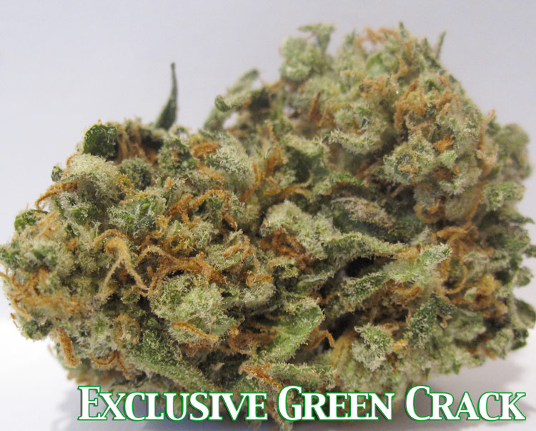 Exclusive Green Crack