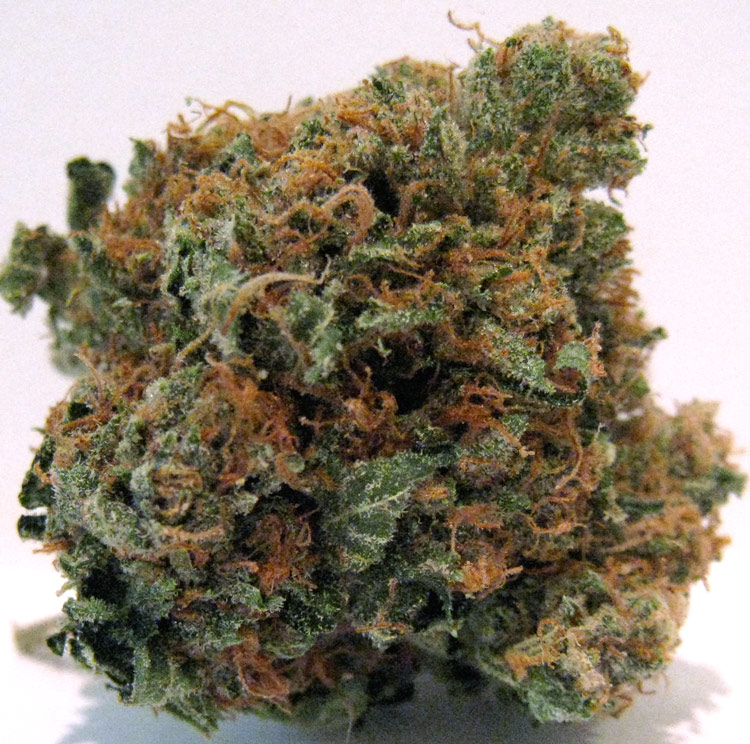 fireball kush