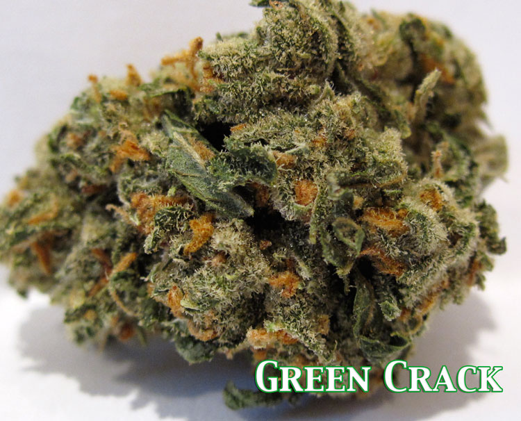 green crack sativa