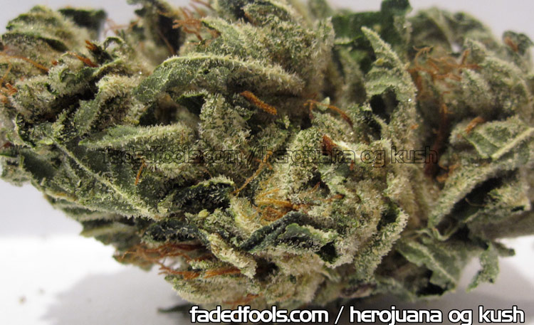 Herojuana OG Kush Picture