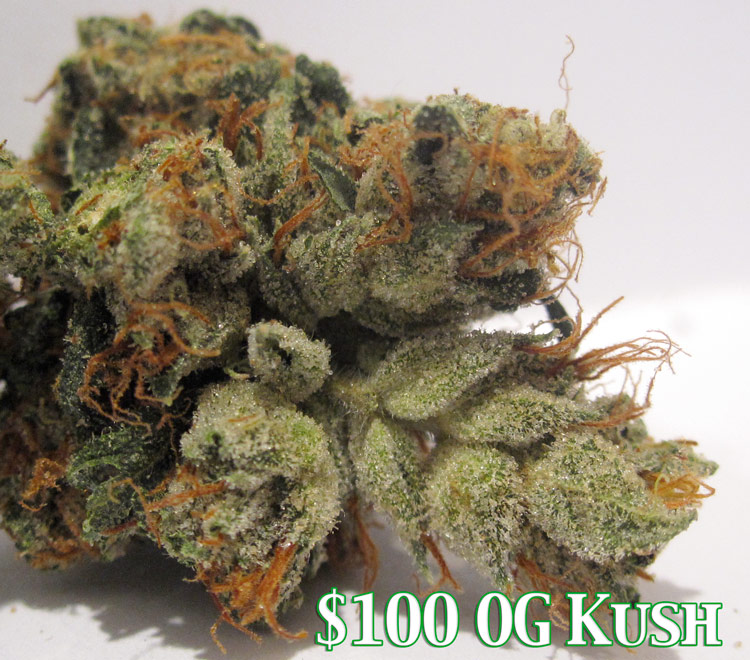 $100 OG Kush