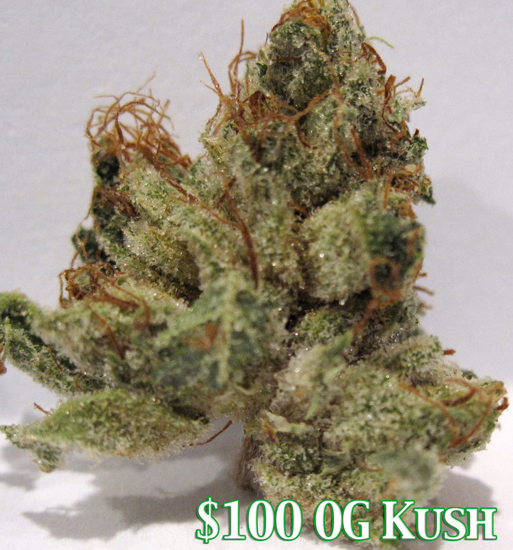 Hundred Dollar OG Kush