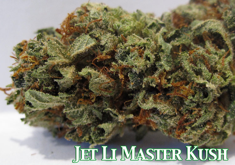 Master Kush