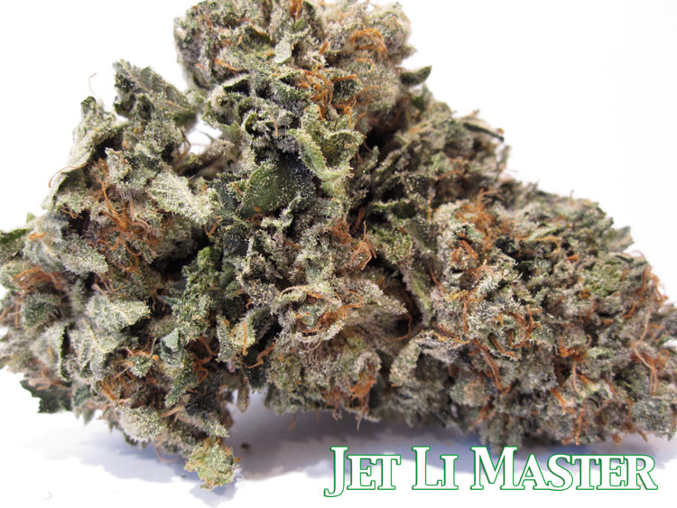 Jet Li Master Kush