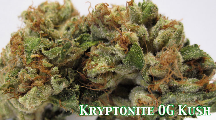 Kryptonite OG kush