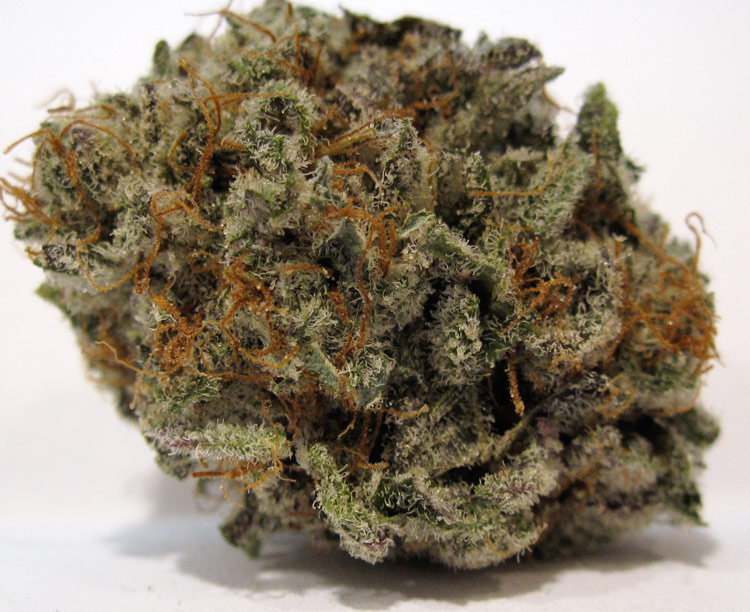 platinum blackberry kush