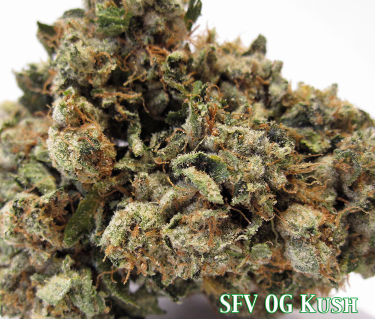 SFV OG Kush