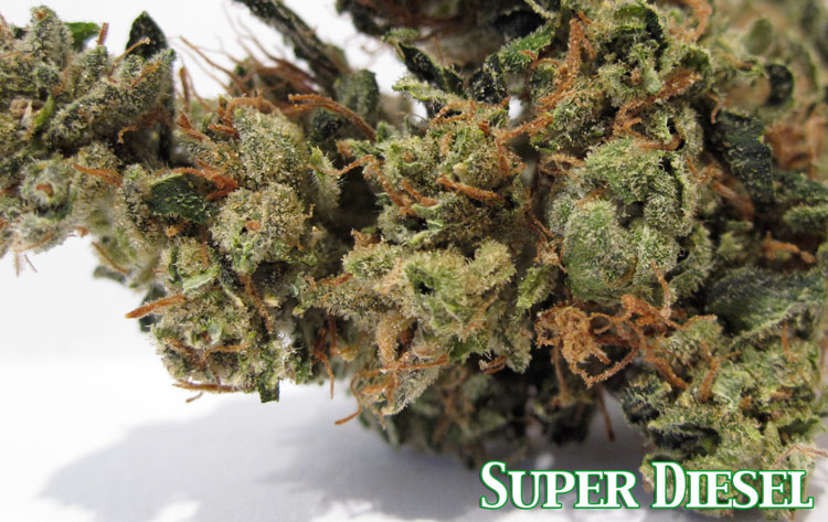 Super Sour Diesel