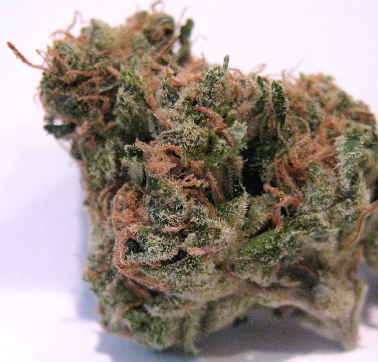 Sour Diesel